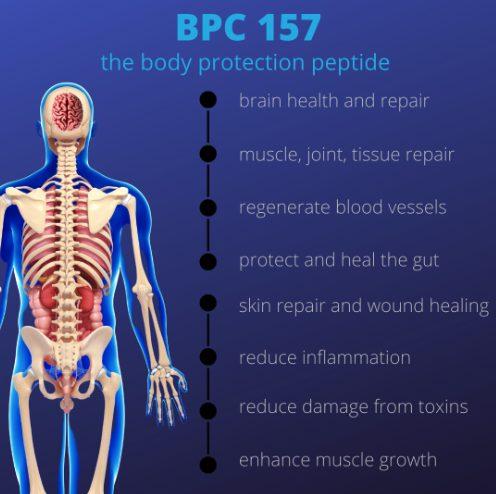 The Science Behind BPC 157: Mechanisms of Healing and Tissue Repair